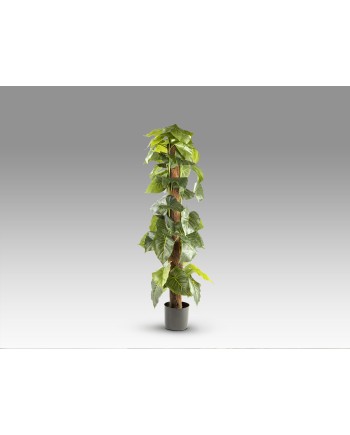 TARO- PLANTA ARTIFICIAL H150